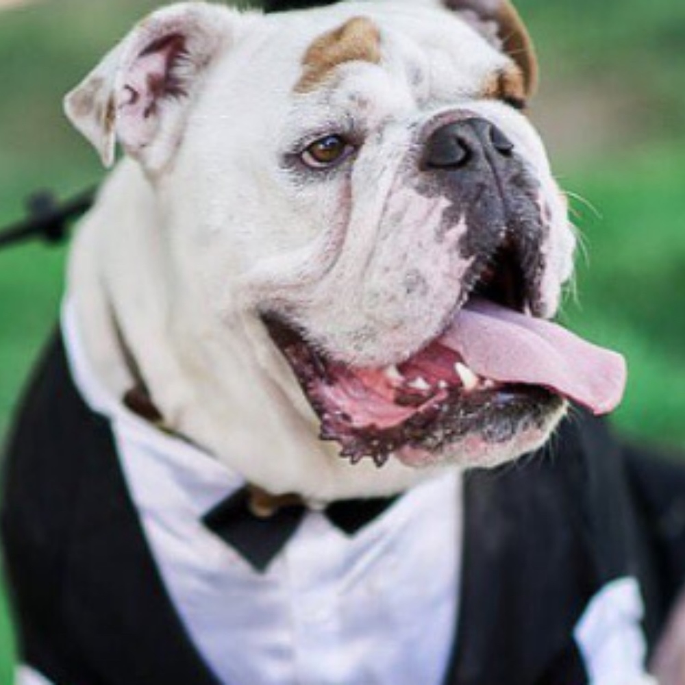 Meet your Posher, James